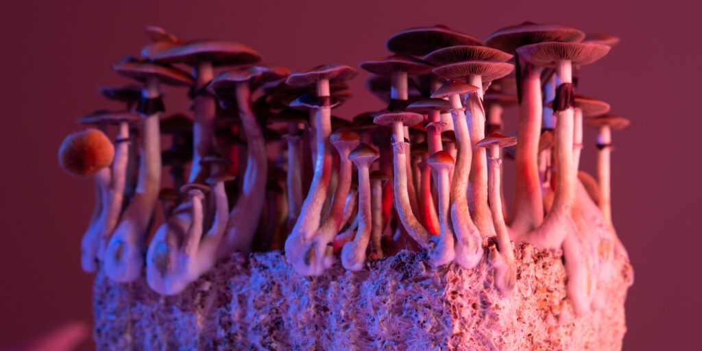 Buy LSD Tabs online in Europe